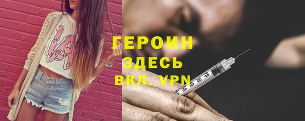 СК Ельня