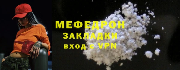 СК Ельня