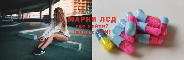 СК Ельня