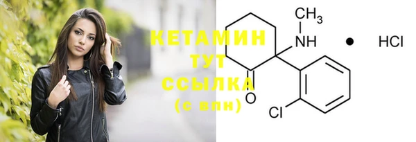 СК Ельня