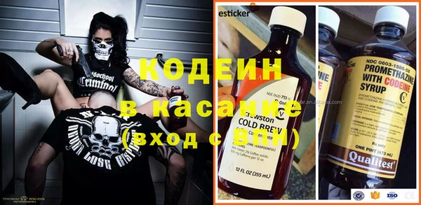 СК Ельня