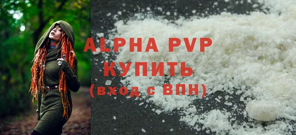 СК Ельня