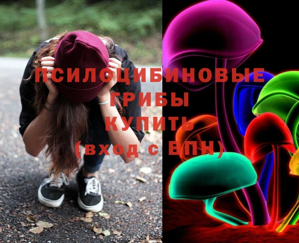 a pvp Елабуга