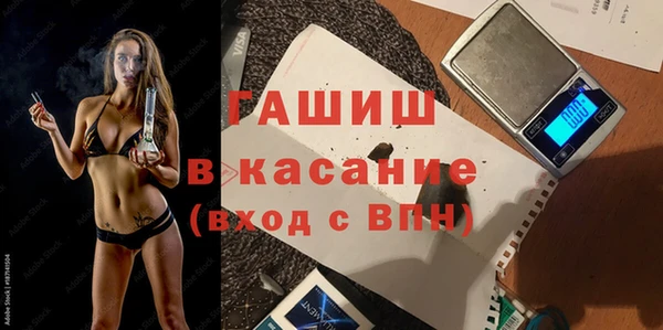 СК Ельня