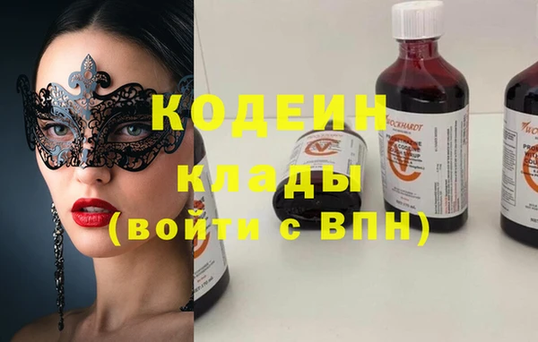 СК Ельня