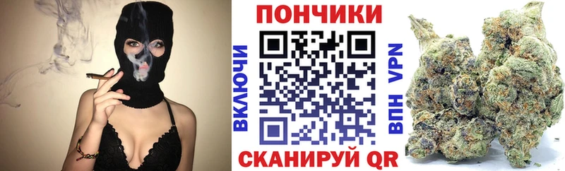Шишки марихуана семена  Купить  Гудермес 
